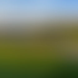 Campo de golf en polígono de Fonatur, en posesión ilegal: Gobierno de Oaxaca