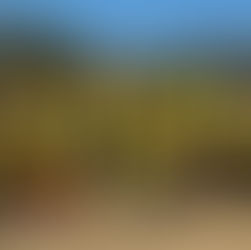 Deportivo Hergo, vence a Ixcotel 5 a 0 en Semifinales de la liga Autónoma de Oaxaca