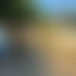 Garantizan atención y apoyo a familiares para la localización de Sandra y Alexander en Oaxaca