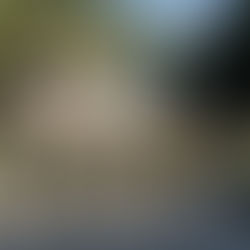 Gobierno de la Cuarta Transformación se rige por los ideales trazados en la Constitución Política