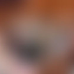 Eligen a integrantes de la Diputación Permanente