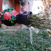 Reitera SSO que la mejor protección ante el dengue es eliminar criaderos del mosquito