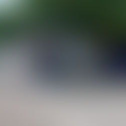 Por casos de Crueldad Animal registrados en el Istmo, inicia Fiscalía carpetas de investigación