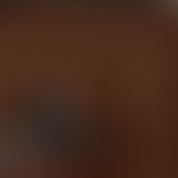 Segob pide a SCJN justificar salarios mayores al del Presidente