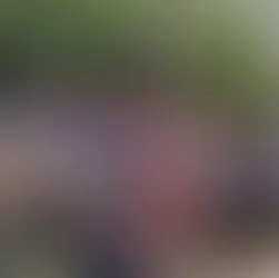 Tragedia carretera en Magdalena Peñasco, 27 muertos