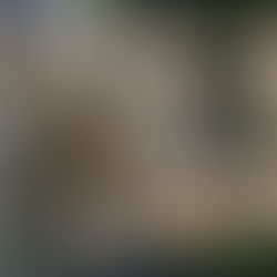 Aprueba SEP Convocatoria del Proceso de Admisión de Construcción Bilateral entre el IEEPO y S-22