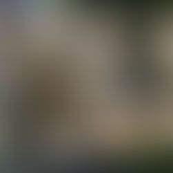 Aprueba SEP Convocatoria del Proceso de Admisión de Construcción Bilateral entre el IEEPO y S-22