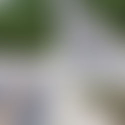 Revelan que carretera chueca en Playa del Carmen fue construida por alcaldesa del PAN