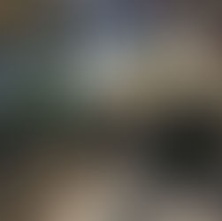 Reforestación del municipio en el Paseo Juárez peligra; nuevos árboles sin agua