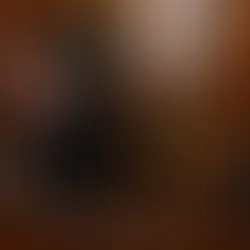 Ministro Laynez “arrancó hojas a la Constitución” para bloquear el Plan B