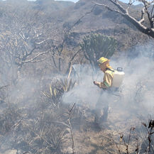 Coesfo liquida y controla cinco incendios
