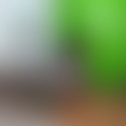 FGEO asegura inmueble en el Centro de la ciudad de Oaxaca; era ocupado por la CNOP