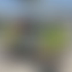 Realiza Gobierno del Estado cincuenta traslados aéreos con fines médicos