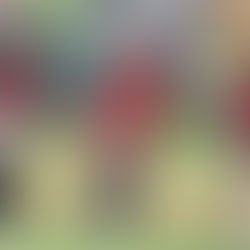 Guerreros aventaja 2-0 en la Serie de Campeonato