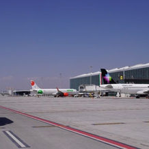 Rentabilidad de vuelos de Aeroméxico, Viva Aerobus y Volaris en el AIFA supera el 80%