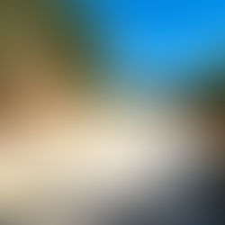 Publican aprobación de 13.4 mdp para camino rural de Santiago Quetzalapa, Cuicatlán