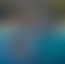 Estiman derrama de 154 mdp por primer fin de semana largo del año