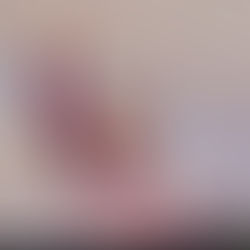 Claudia Sheinbaum gana encuesta para coordinar defensa de la 4T