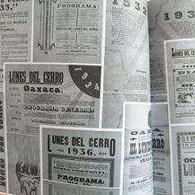 Los pantalones y la guelaguetza