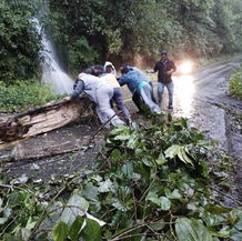 Interviene Protección Civil ante derrumbe en carretera de Valle Nacional