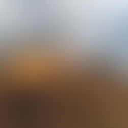 Oaxaca registra en mayo 23 incendios forestales