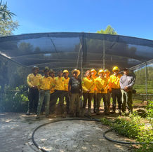 Jornada de Reforestación llega a Santa María Yosoyúa