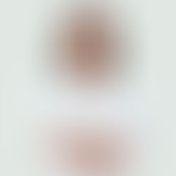 Plantea Haydeé Reyes armonización constitucional para suspender derechos a violentadores