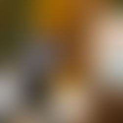 Presentan el proyecto de nueva Ley para el Desarrollo Económico de Oaxaca