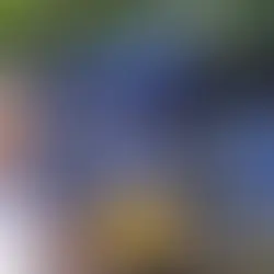 Más de 2 mil kilómetros de vías férreas operarán en el sureste al final del sexenio: AMLO