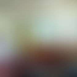 Presentan en el Congreso local el proyecto "Mujer Política"