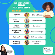 Blog - Persistence (2).png