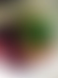 Sorbet rafraîchissant de petits fruits, hibiscus et basilic ️🍧🍓🍒🌞