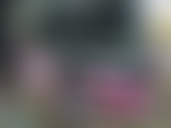 Atacaron a piedrazos una garita del Centro de Monitoreo de La Plata