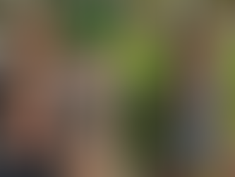 Dieron de alta a la última sobreviviente que quedaba internada por el fatal accidente en Playa del Carmen