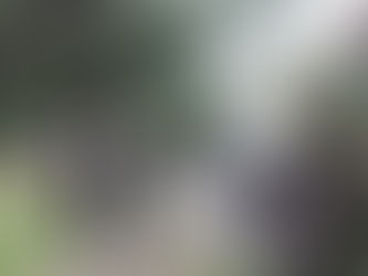 Mayra entregó un certificado de habilitación a un nuevo comercio y supervisó un operativo de limpieza en Quilmes Oeste