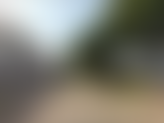 Un anciano baleó en la pierna a un hombre durante una reunión de trabajo en Rosario