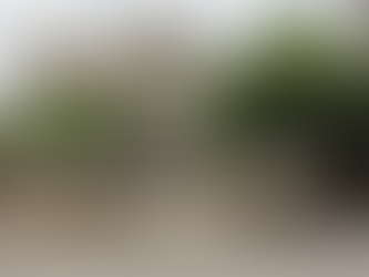 Homicidio en Almirante Brown: le orinó el frente de su casa, le mostró las partes intimas y lo mató