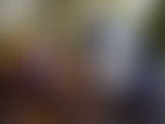 Intenso operativo de limpieza de arroyos y desobstrucción de sumideros en Quilmes