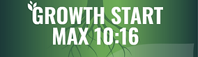 growth start.PNG