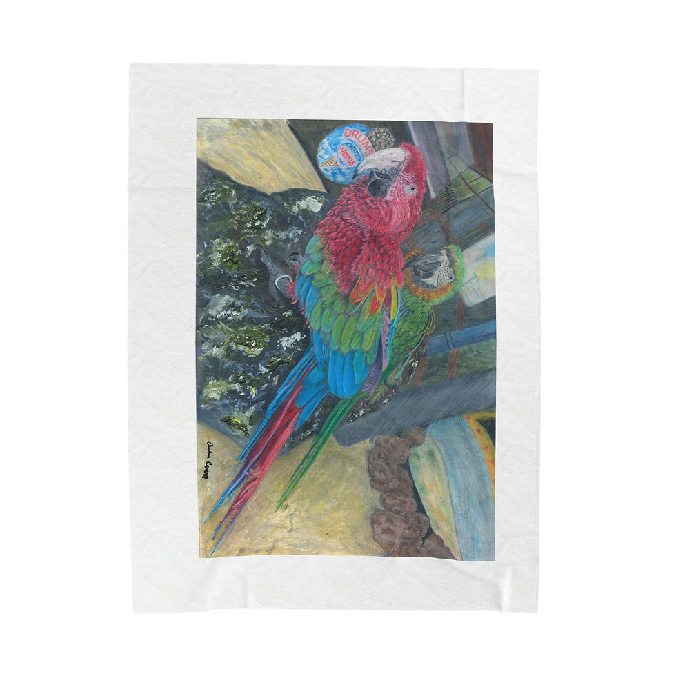Thumbnail: "Birds and Sh-t" Velveteen Plush Blanket