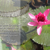 PADMA YOGA - LOCANA MUDRA 49.jpg