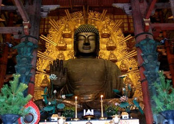 Experience Japanese Culture