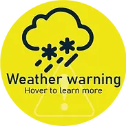 Asset 1greenline.webp