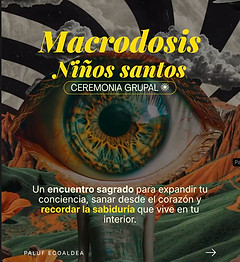 brochure niños santos.jpg