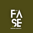 FASE S.R.L..png