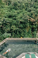 Playa Del Carmen Jungle.JPG