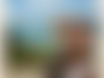 Et si vous partiez en voyage avec votre chien ?!