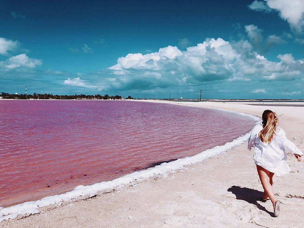 lagon rose bonbon, Las Coloradas, dans la péninsule du Yucatán, au Mexique 🇲🇽