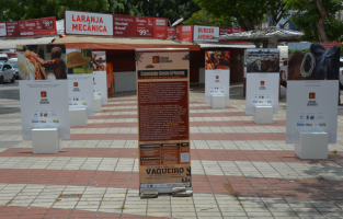 Museu Casa do Sertão inaugura exposição “A Cultura do Vaqueiro no Portal do Sertão” em Feira de Santana