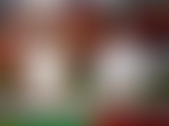 Cozinha Show movimenta a Fenagro 2025 com programação infantil, valorização feminina e integração entre chefs e público